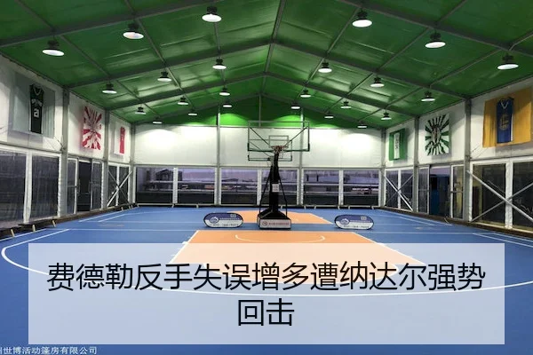 fei-de-lei-fan-shou-shi-wu-zeng-duo-zao-na-da-er-qiang-shi-hui-ji-2-540.jpg